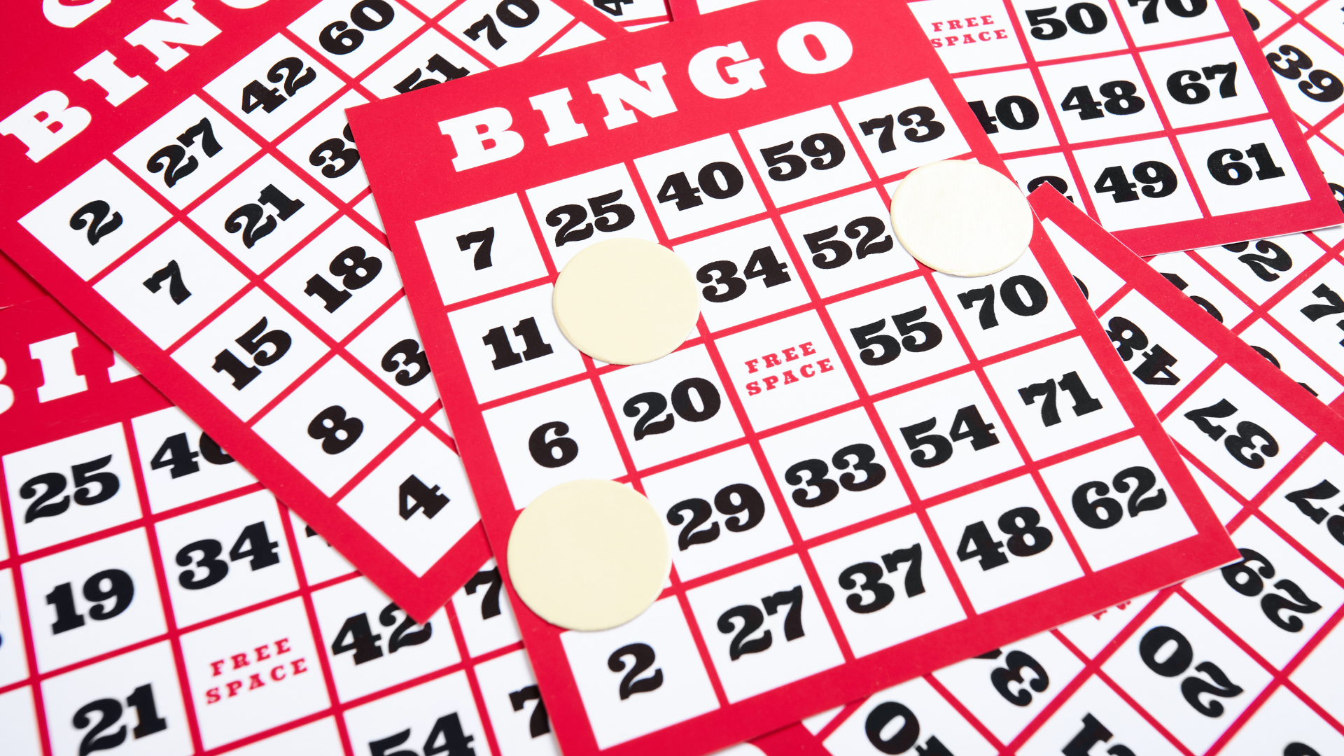 Bingo Fridays Near Me